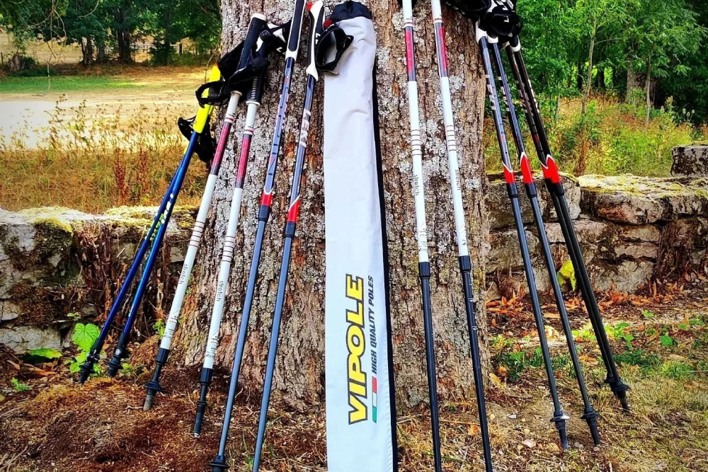 Bienvenido al blog de Avonordic León