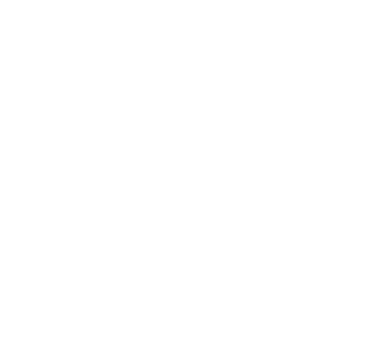 Logotipo AVOnordic blanco