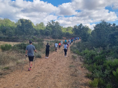 AVOnordic - trabajadores de empresa realizando marcha nórdica